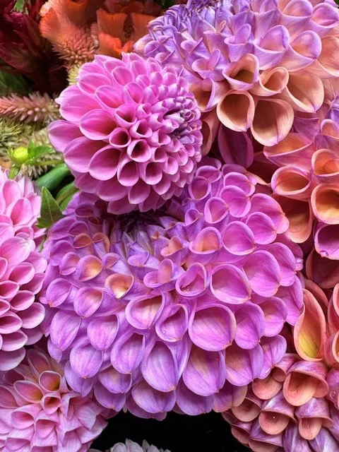 Close-up of pink and purple dahlias and other colorful flowers.