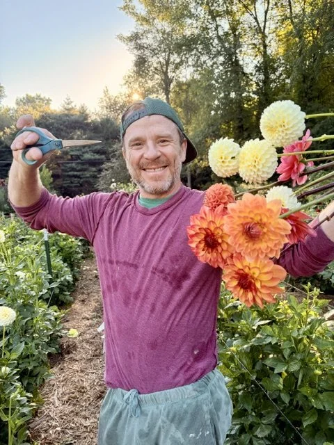 A man in a purple shirt with a backward cap is holding a bouquet of colorful flowers and gardening shears in an outdoor garden during sunset.
