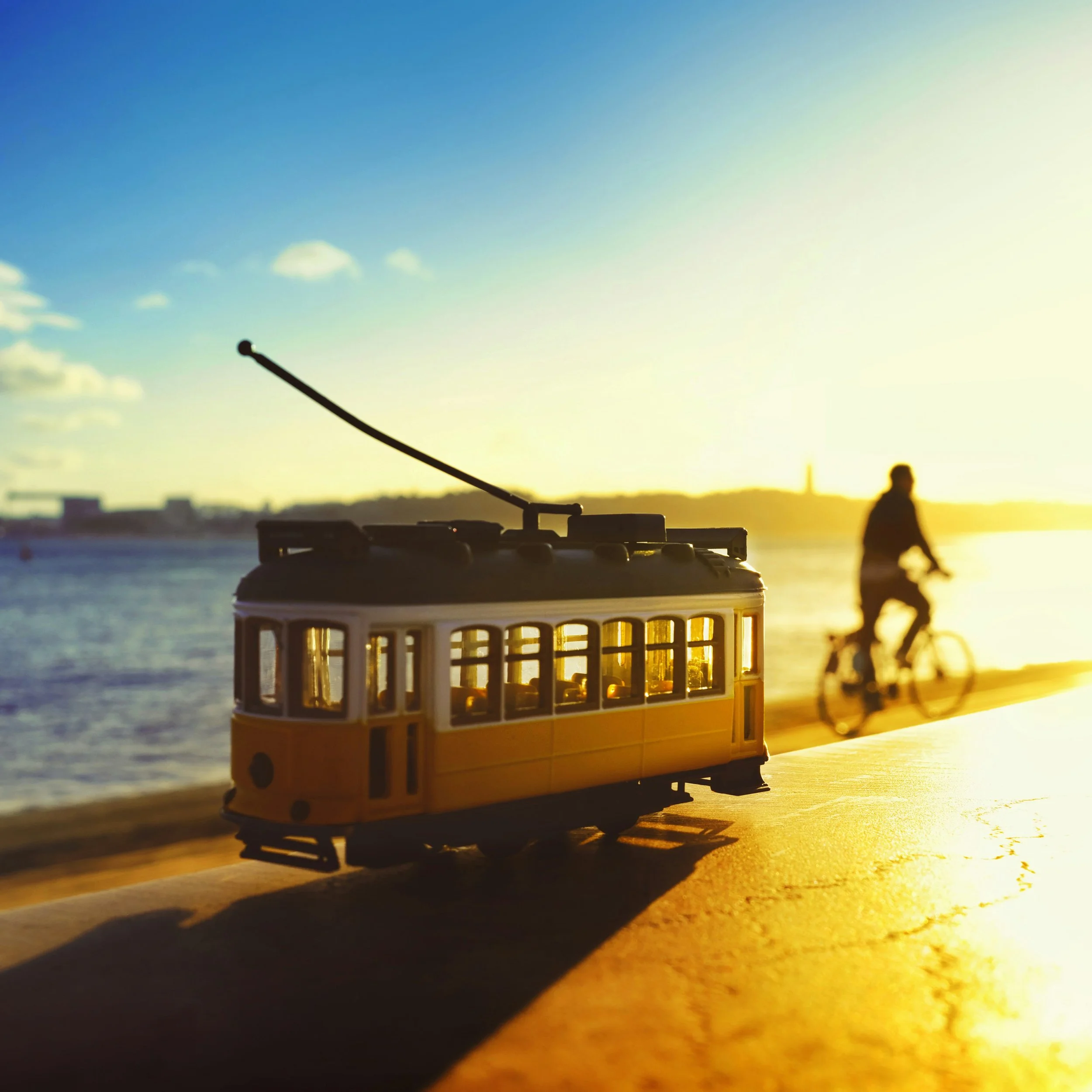 Bike, Tram, or Walk?