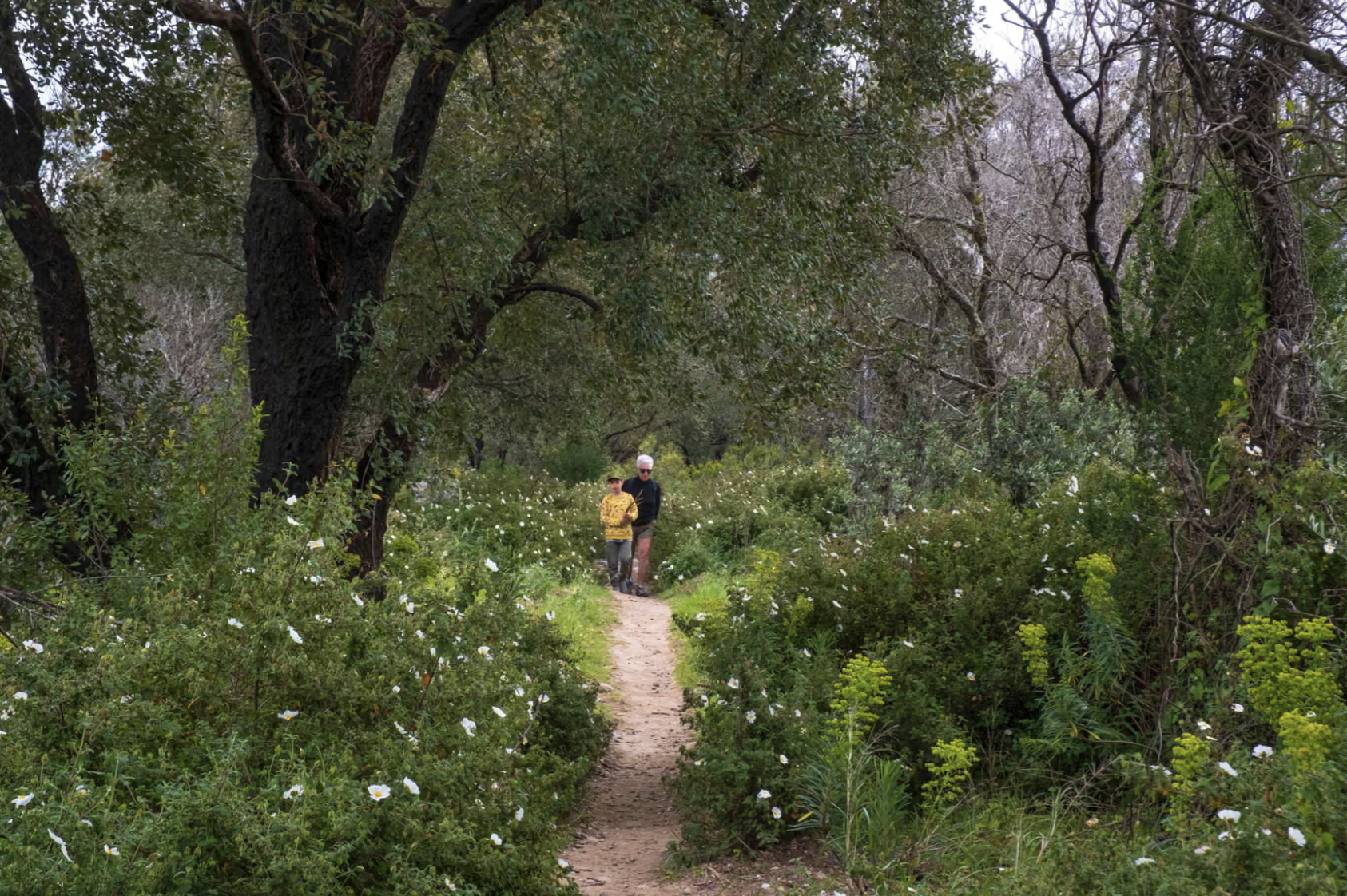 Authentic Algarve: exploring Portugal beyond the beach