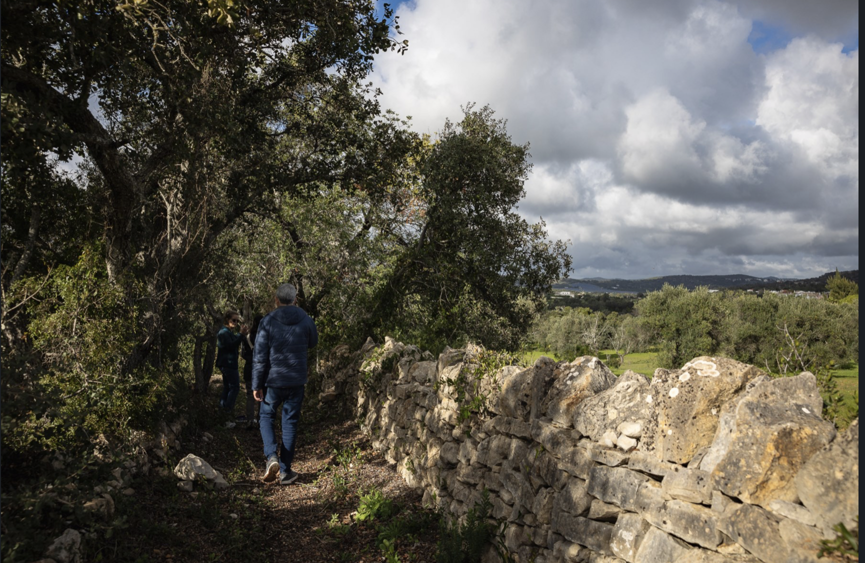Do resgate de caminhos rurais nasceu um festival de caminhadas