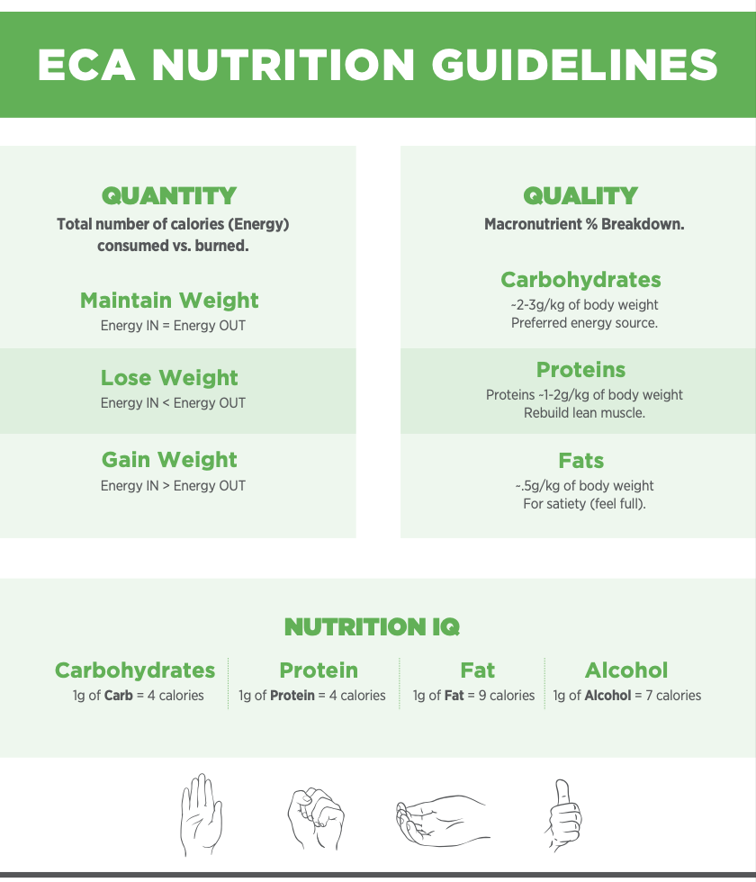 ECA Nutrition Guidelines chart outlining nutrition advice. Left section covers calorie consumption and weight goals: maintaining, losing, or gaining weight. Right section explains macronutrient breakdown: carbohydrates, proteins, and fats. Additional section gives calorie information per gram for carbohydrates, protein, fat, and alcohol.