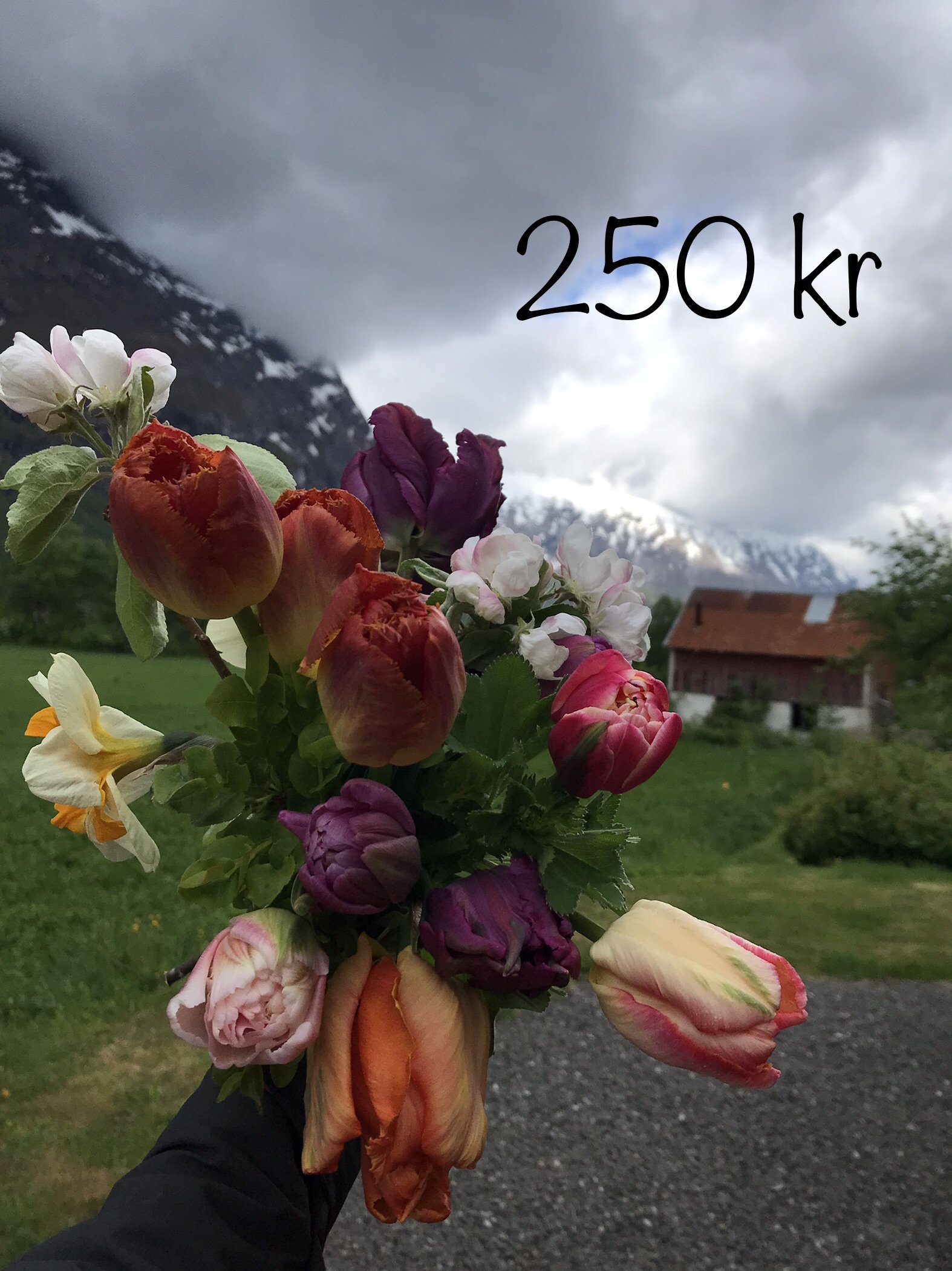 A9104B5F-9C29-4336-BE7B-E497B8538AA3.jpeg