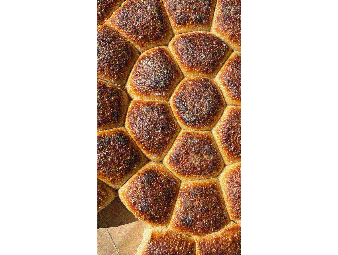 bread-trans.png