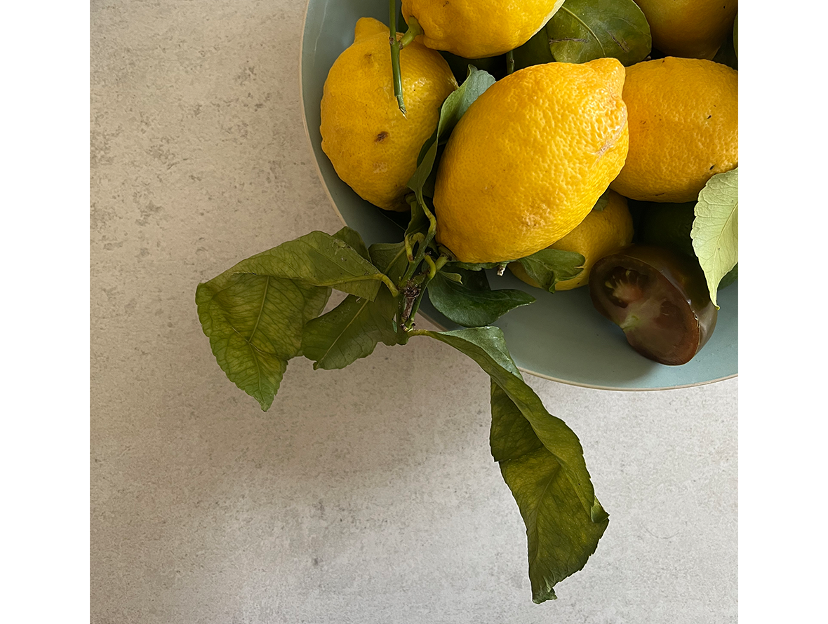 lemon-trans.png