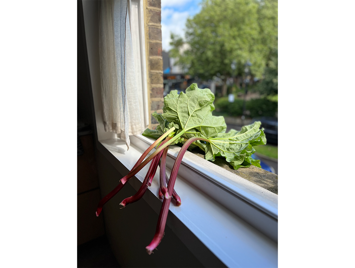 rhubarb-trans.png