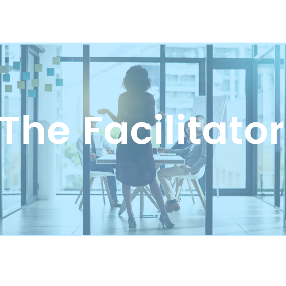 Vertiefungsmodul: The Facilitator