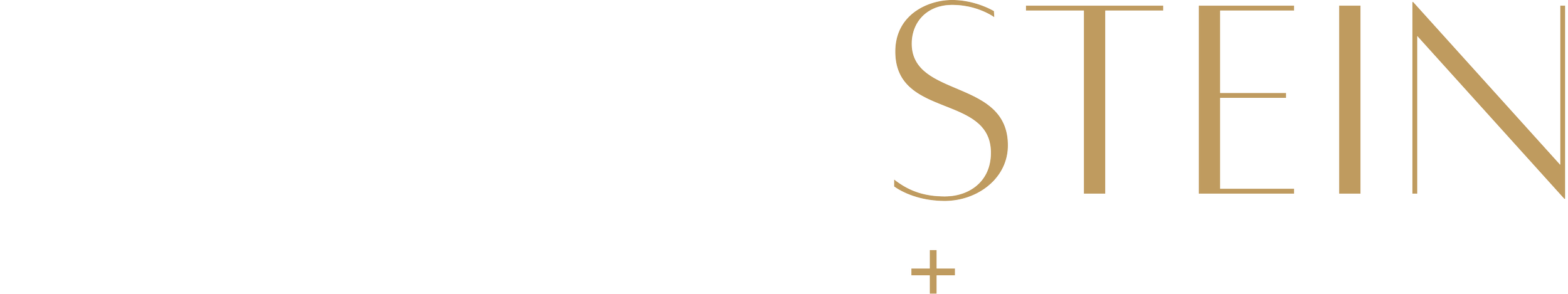 Vance Stein Architecture