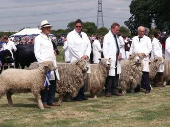 Returning to Heckington Show