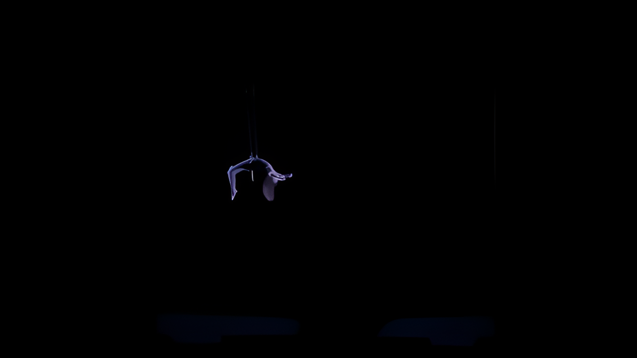 Aerial_Performance_Scene2_Photo.png