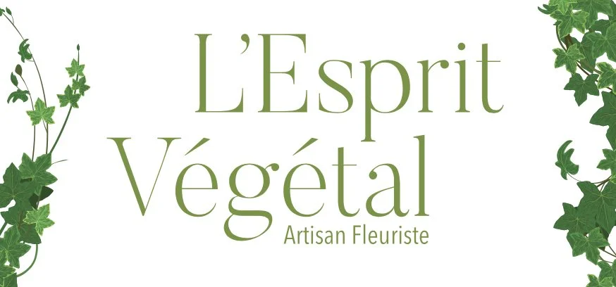 Logo EV.jpg