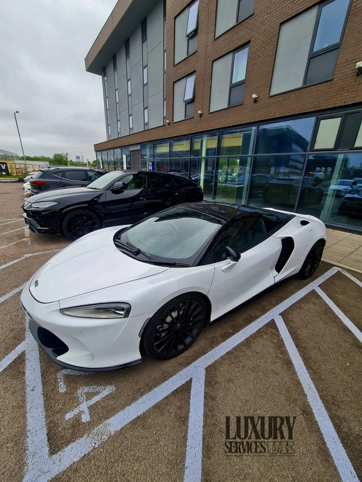 Untitled design.zip - 2.jpg