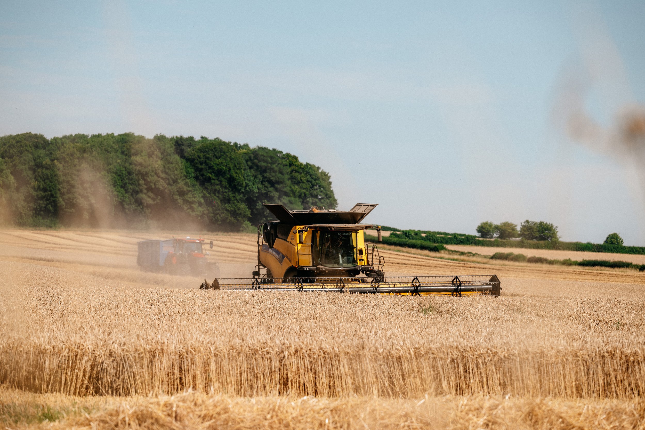2024_CHARBOROUGH_ESTATE_JBPHOTO-4396.jpg