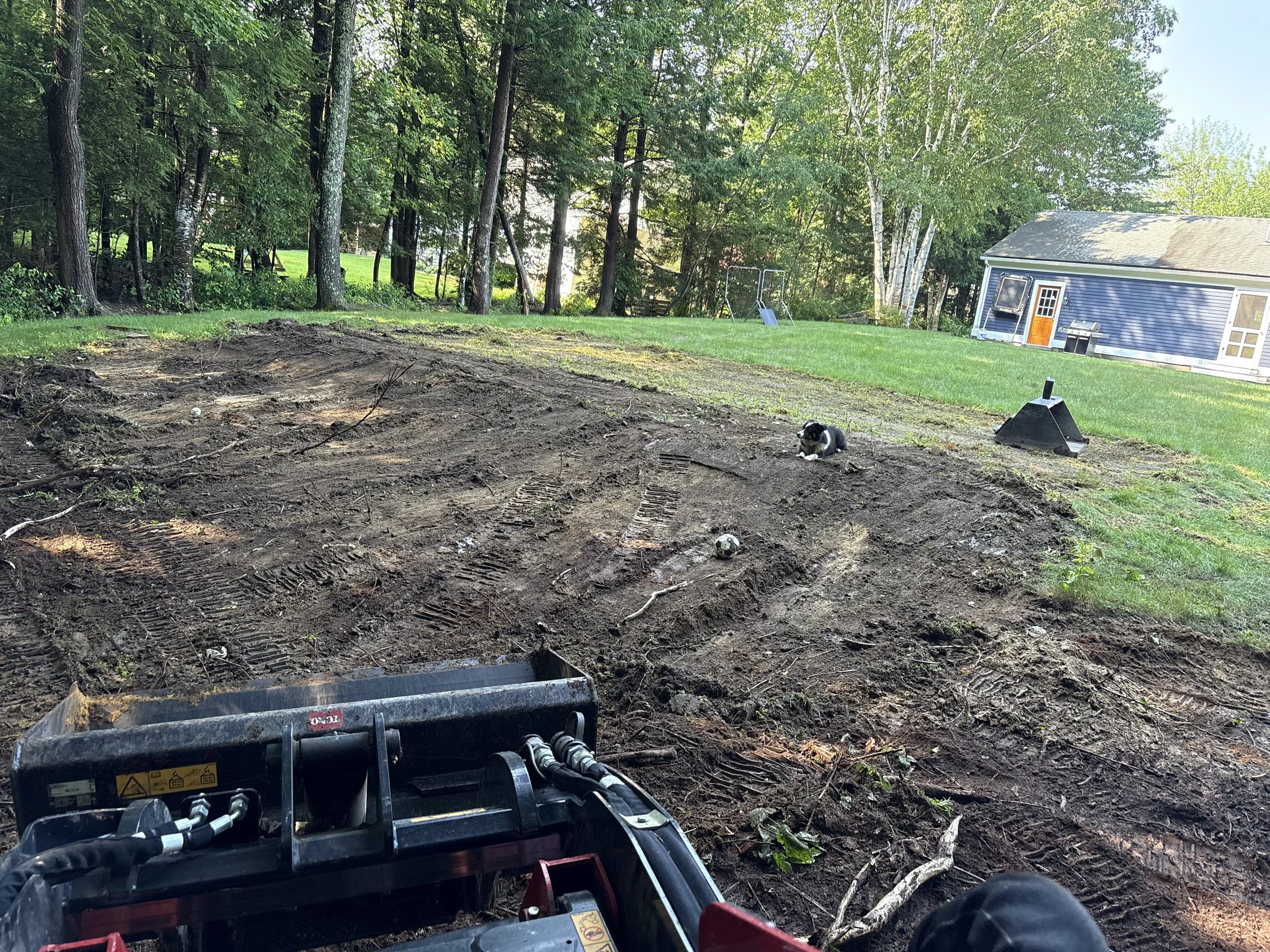 View from a lawn mower looking at a landscaped yard with a blue house, a swing set, and trees. A dog is lying on the grass.