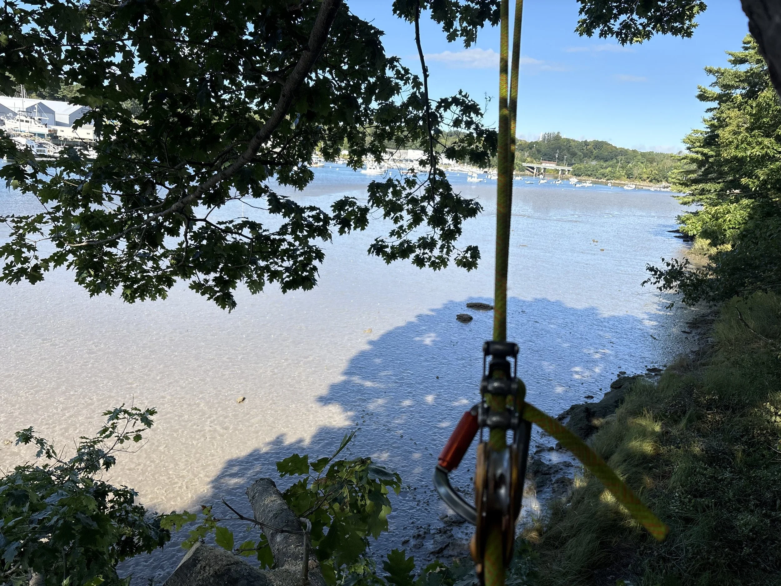 A fishing rod in the foreground facing a river with boats and trees along the shore under a blue sky.