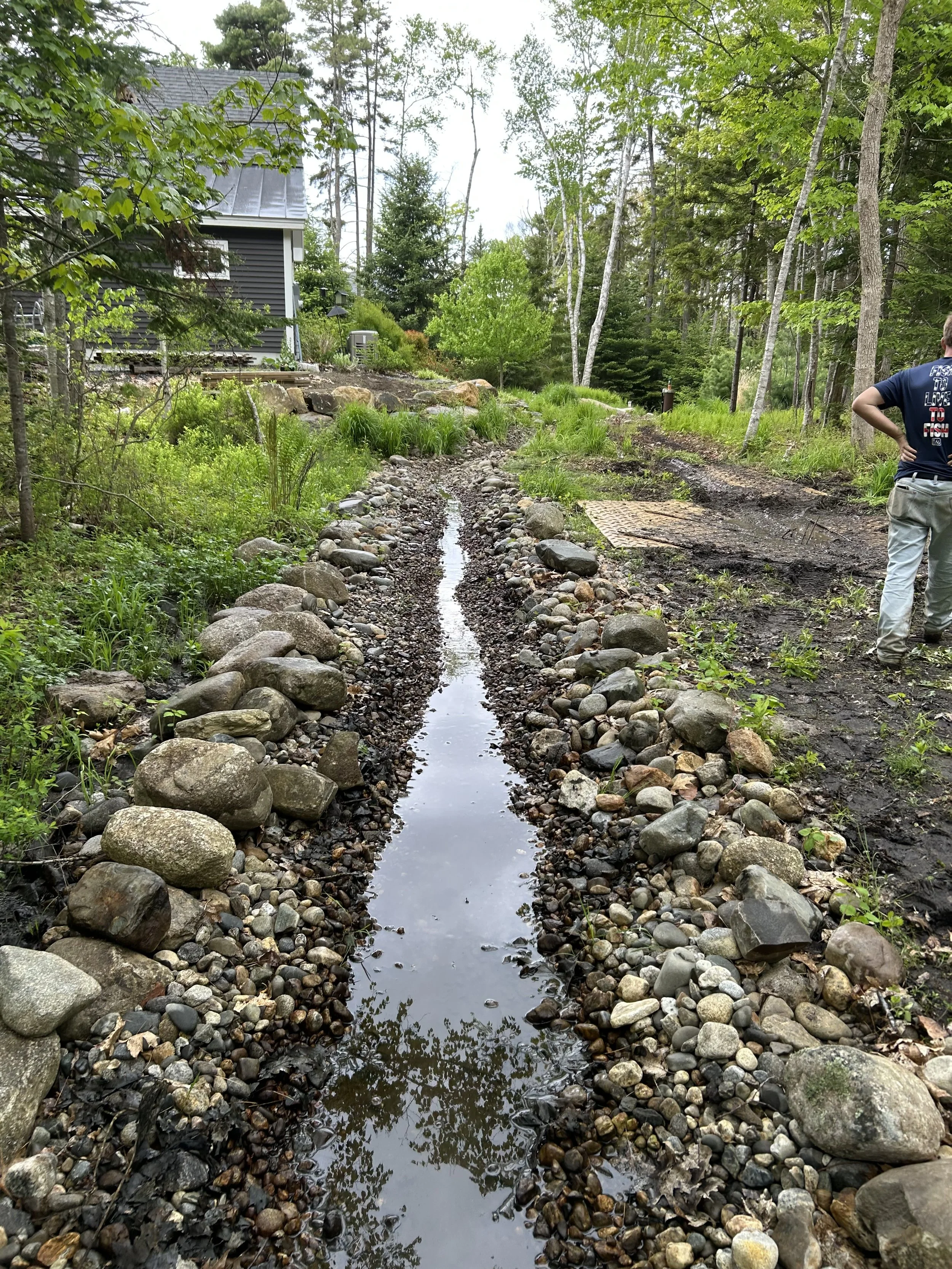 A small creek with a rocky banks and shallow water runs through a forested area behind a house. A person is standing on the right side of the image. Tall trees and green shrubs surround the scene.