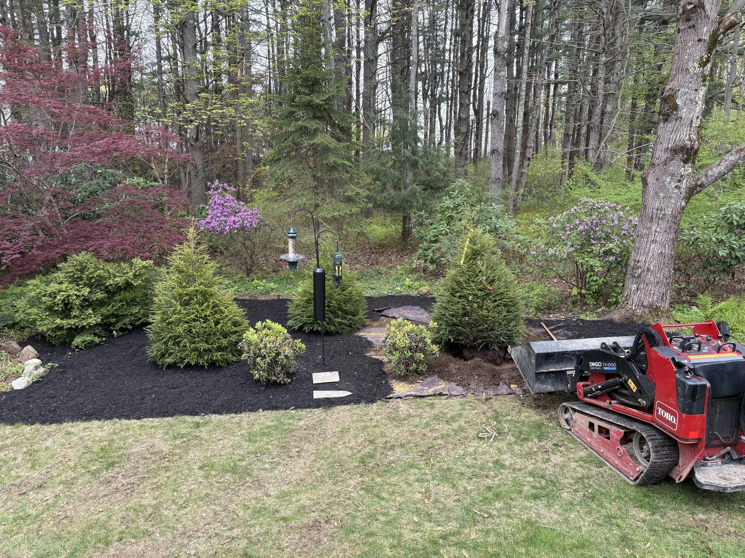 A backyard with various bushes and trees, including a Japanese maple with reddish leaves, and some pink flowering bushes. There is a bird feeder hanging and a small garden area withberries. On the right, there is a small red and black Toro snowblower