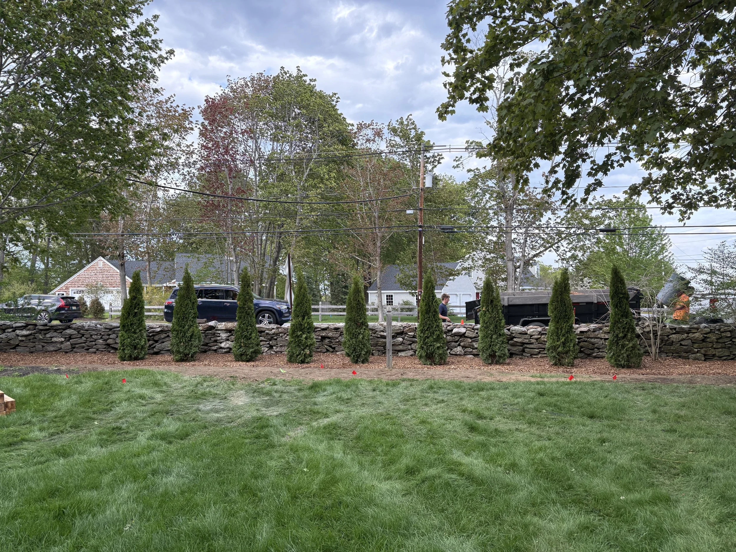 A backyard scene with a grassy lawn, small red flags embedded in the ground, a stone wall, tall evergreen trees, houses, parked cars, and a person walking.