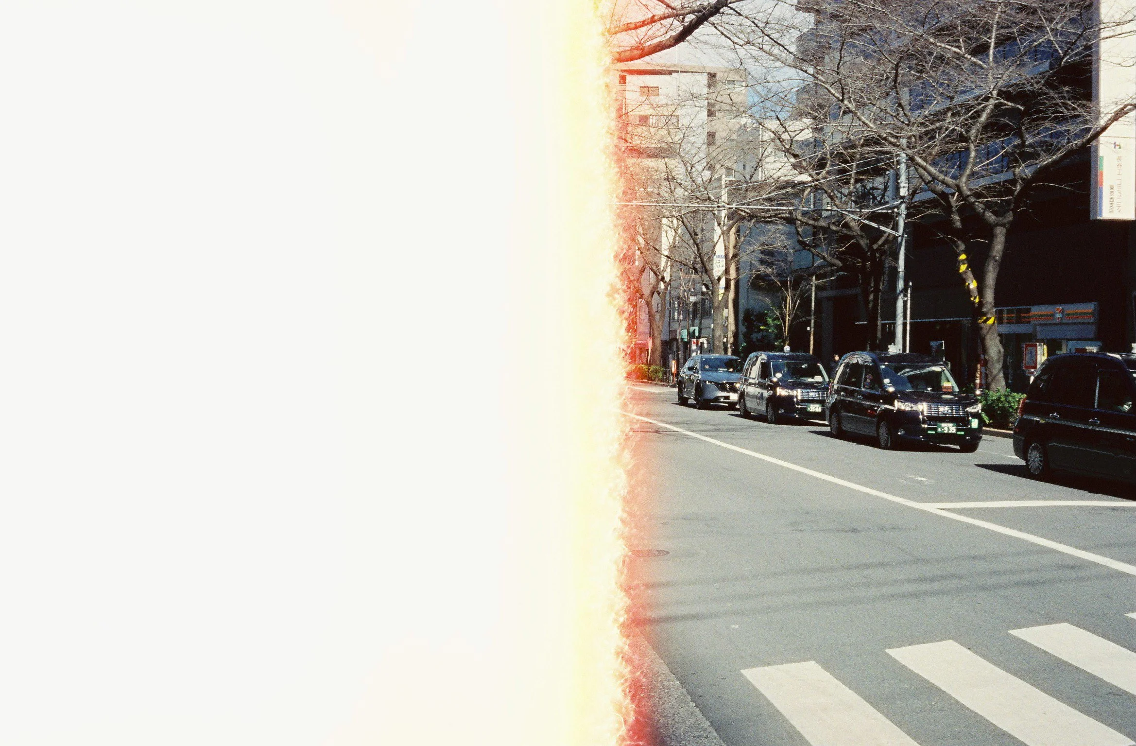 昼景:東京 Daytime Tokyo