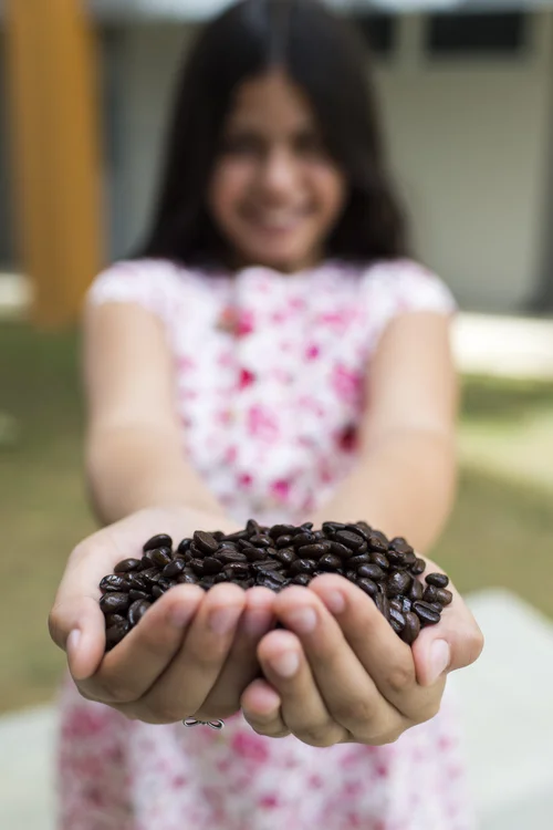 SEEDS — Friends of Puerto Rico