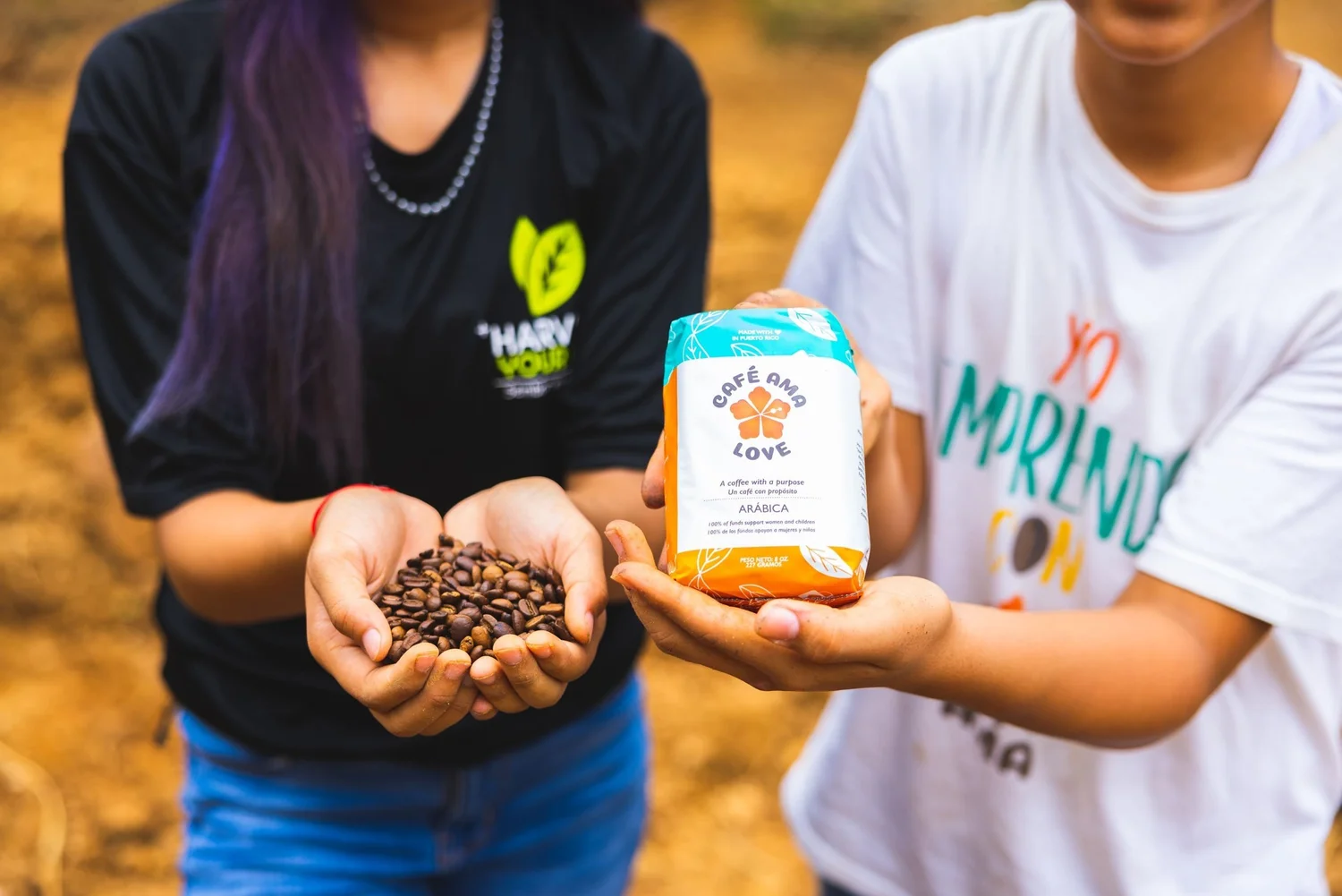 Community project and social impact