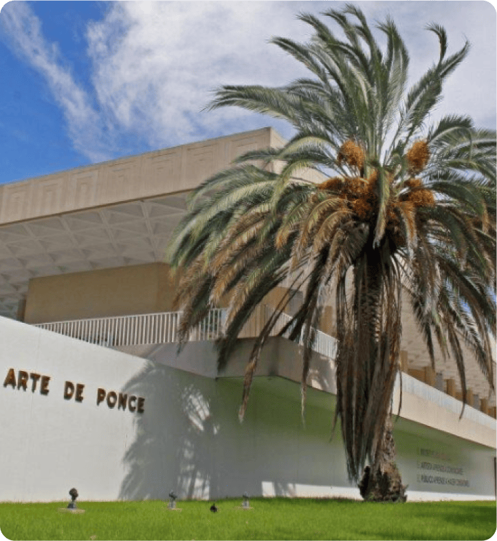 Friends of Puerto Rico — 2015