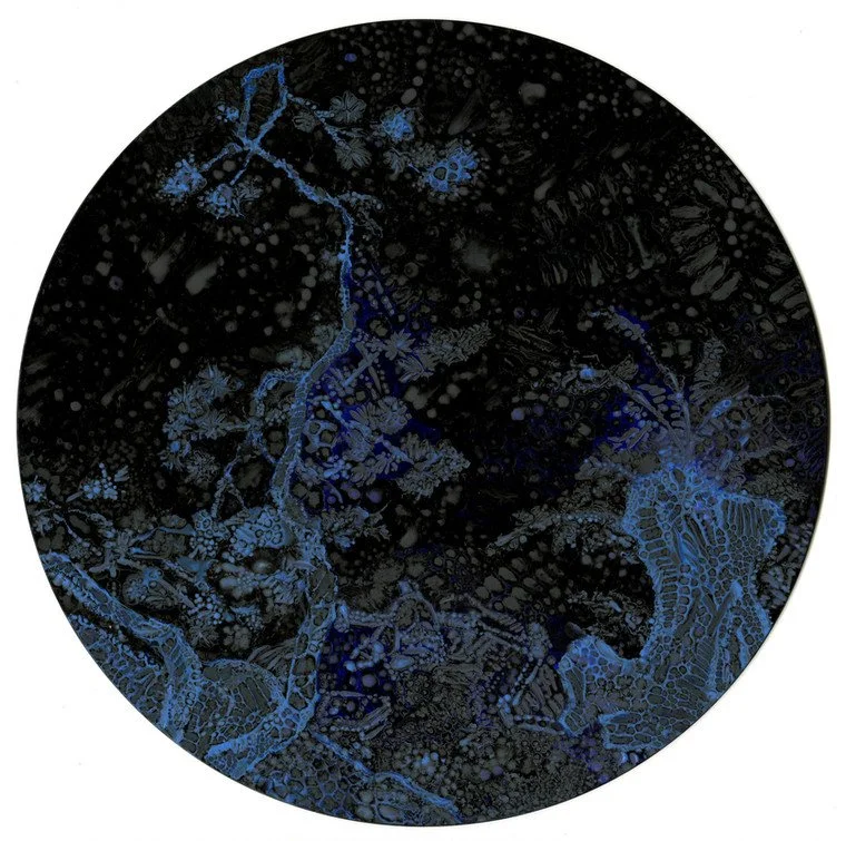 Microcosmic Landscape #3.jpg