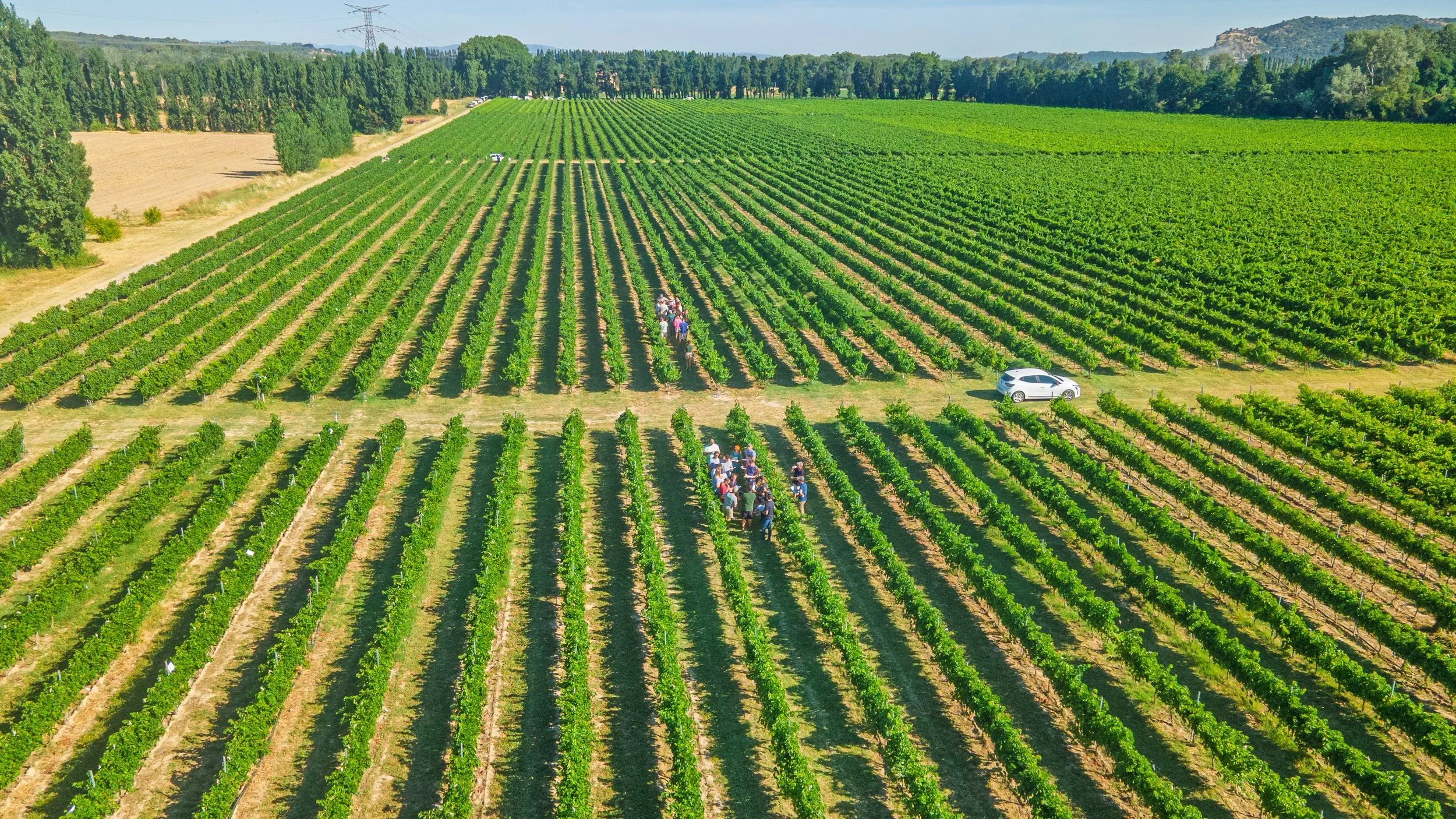 DJI_0995.jpg