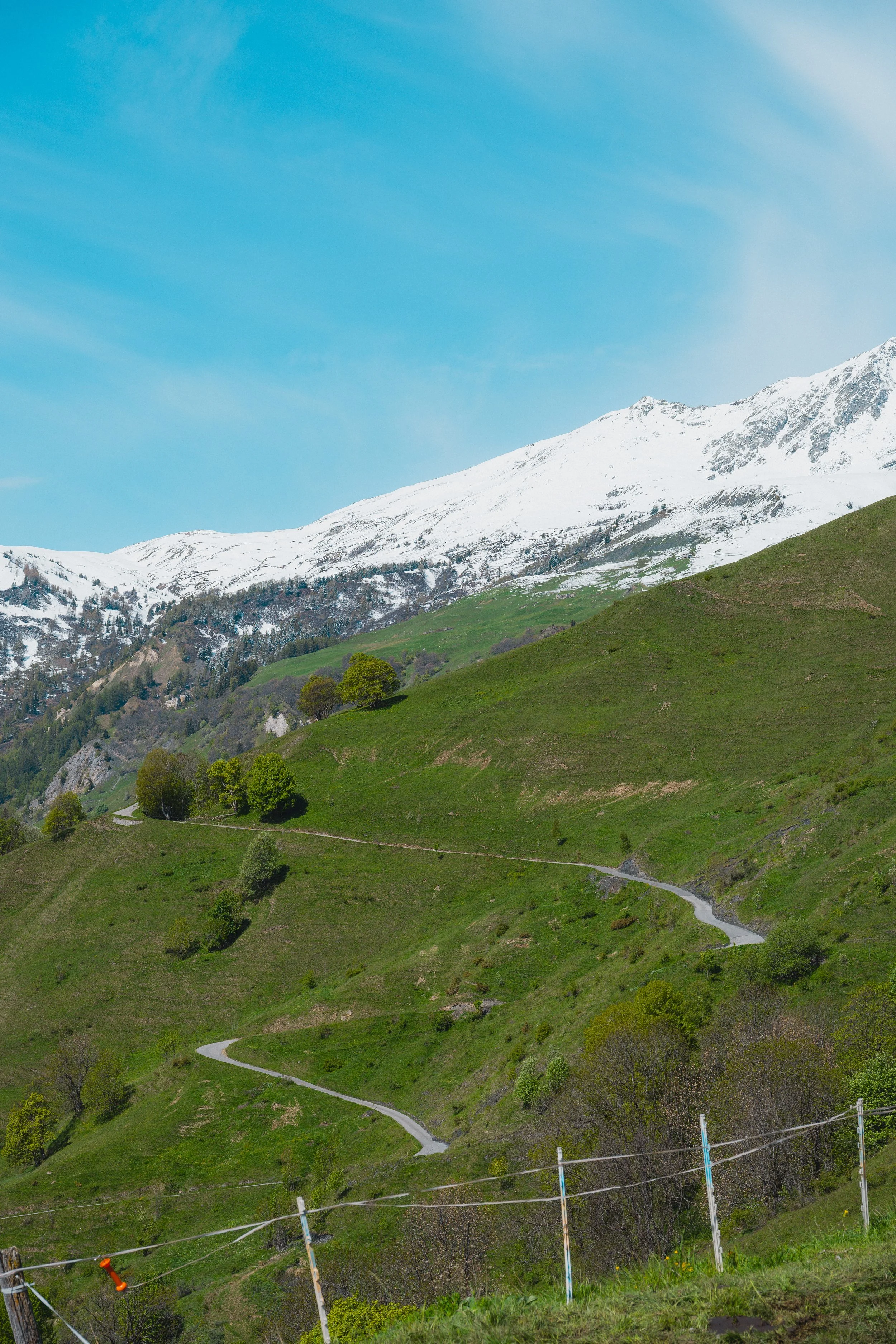 DSC_8585.jpg