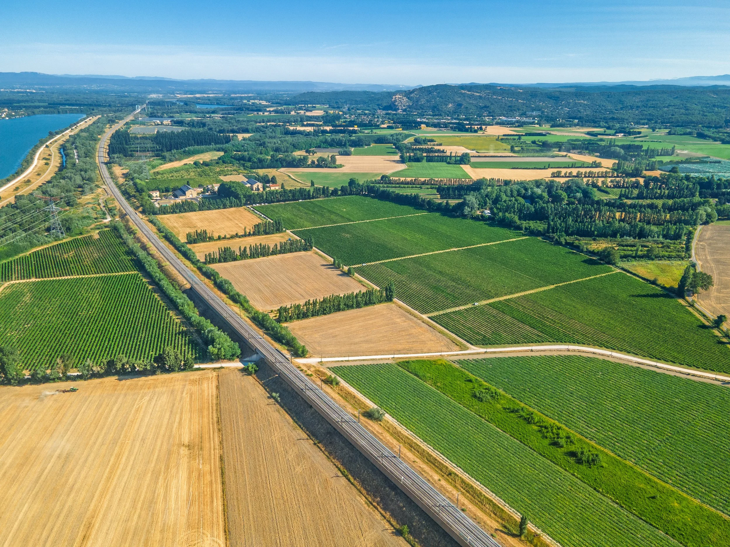 DJI_0985.jpg