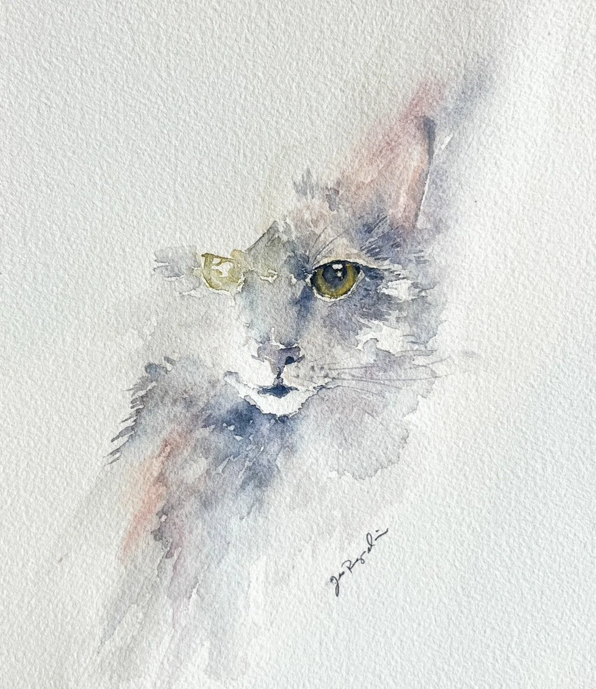 loose watercolor pet portrait of a grey cat