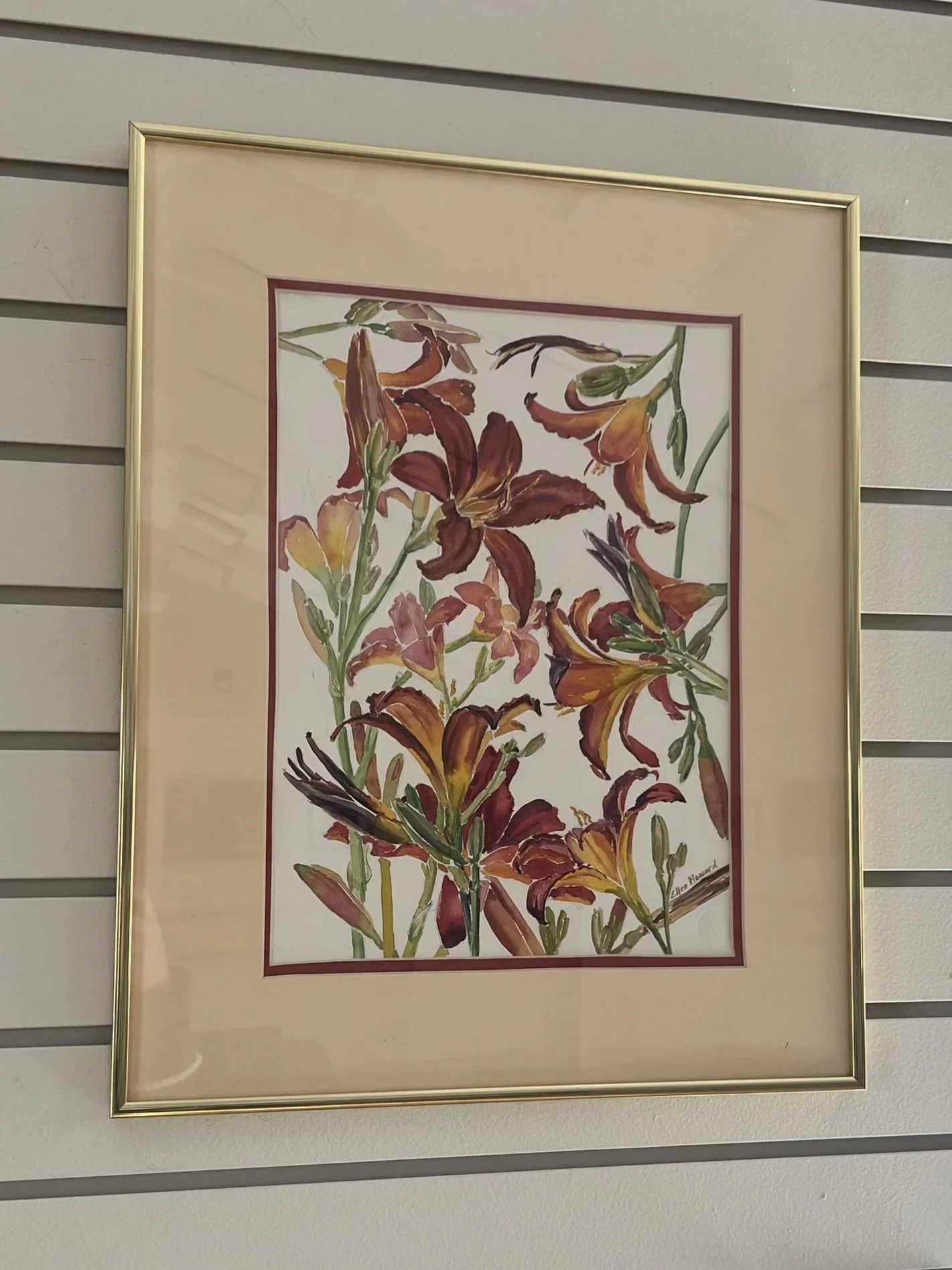 Generations of New Lillies