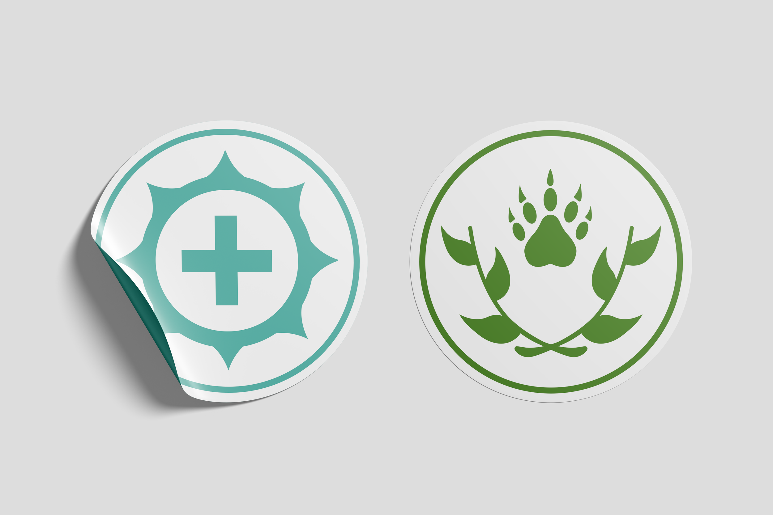 Cleric and Druid.png