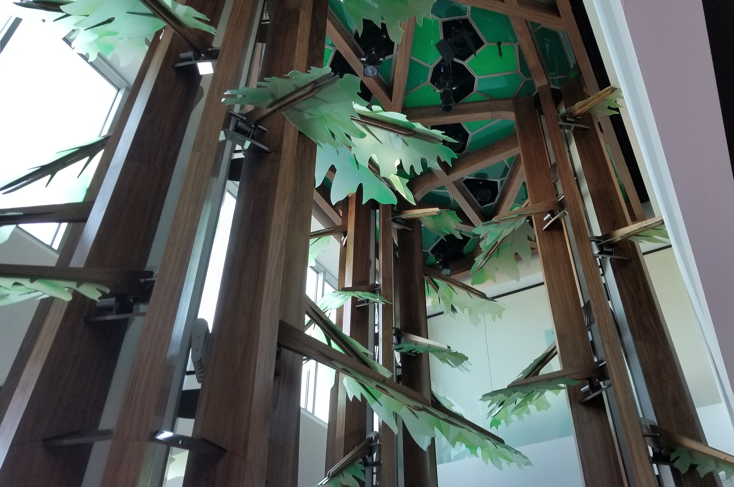 Google Redwood City - Grove