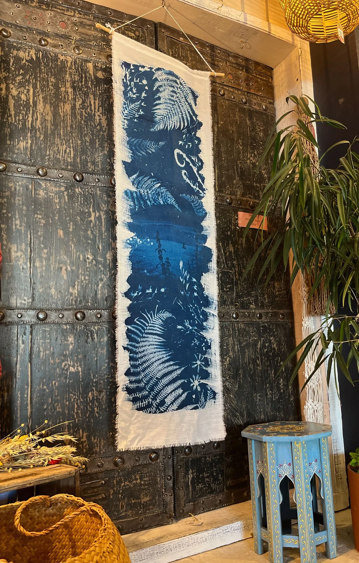 wall-hanging-ferns-beach_3904-MirSeas-w.jpg