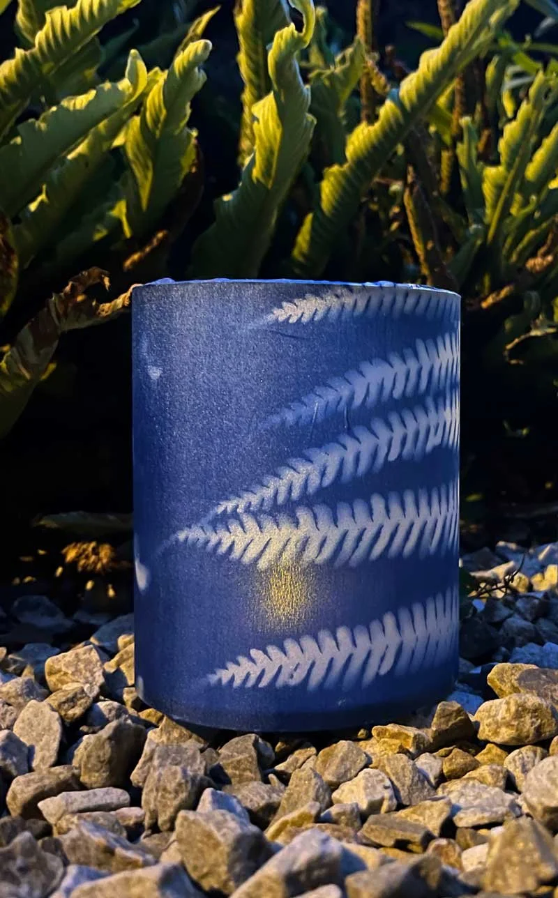 Lantern-silk-fern.jpg