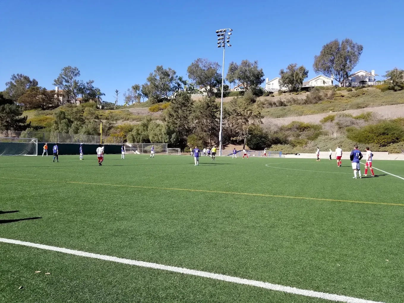 bear brand park.webp