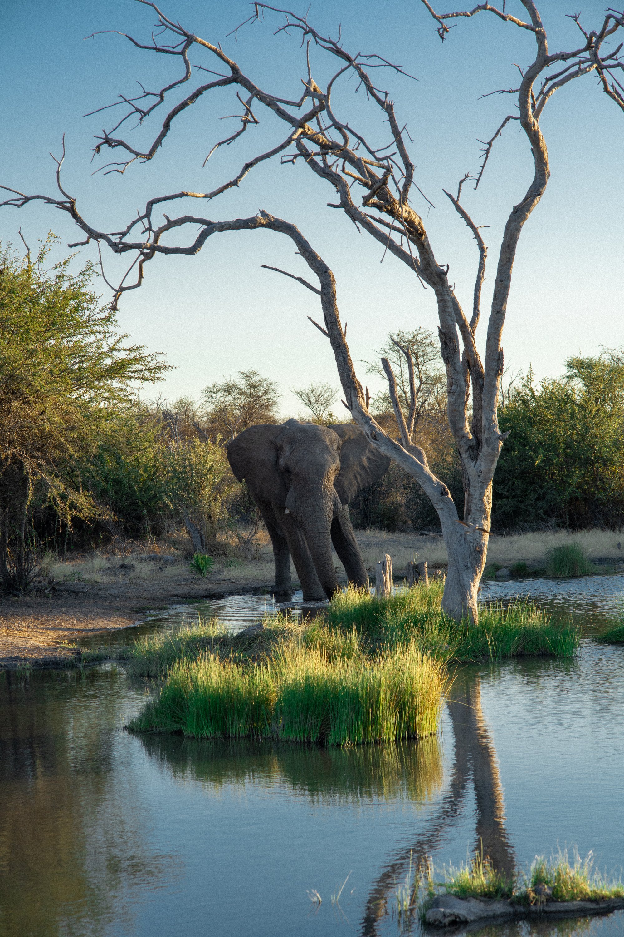 Namibia 2026 - Minolta M-Rokkor 90mm f/4 - Sony A7RIV