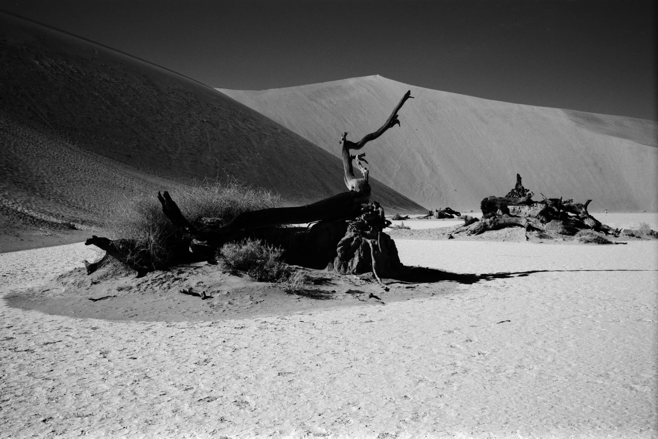 Namibia 2026 - Adox HR-50 - B+W 041 Rotorange filter - Voigtländer Nokton 35mm f/1.4 S.C - Leica M6.
