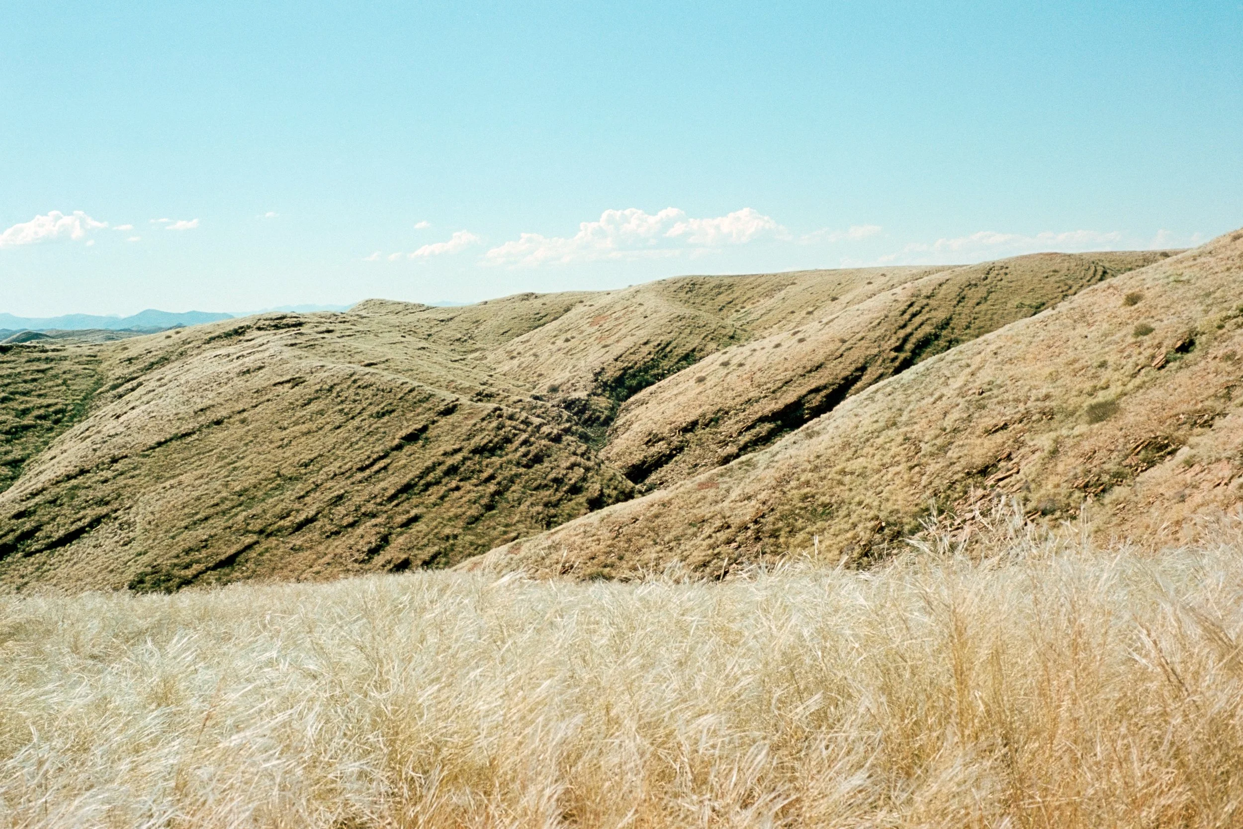 Namibia 2026 - Kodak Aerocolor 125 (Donated by Joshua Ewert & respooled by l'Atelier Argentique) - Voigtländer Nokton 35mm f/1.4 S.C - Leica M6.