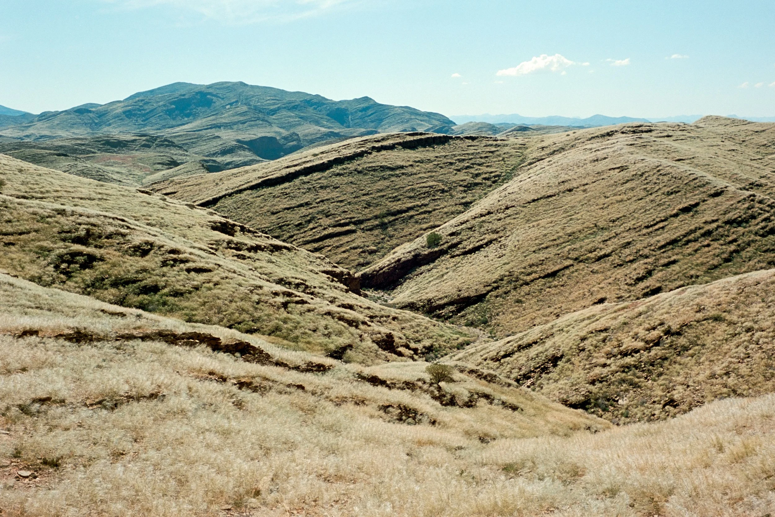 Namibia 2026 - Kodak Aerocolor 125 (Donated by Joshua Ewert & respooled by l'Atelier Argentique) - Voigtländer Nokton 35mm f/1.4 S.C - Leica M6.