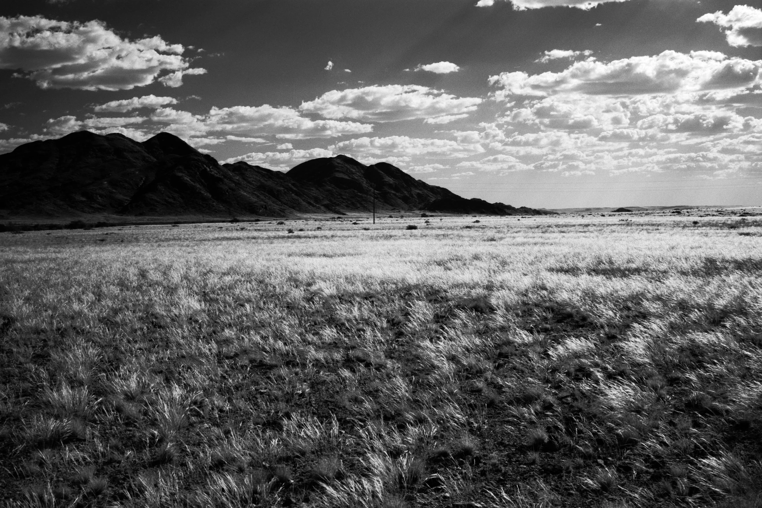 Namibia 2026 - Adox HR-50 - B+W 041 Rotorange filter - Voigtländer Nokton 35mm f/1.4 S.C - Leica M6.
