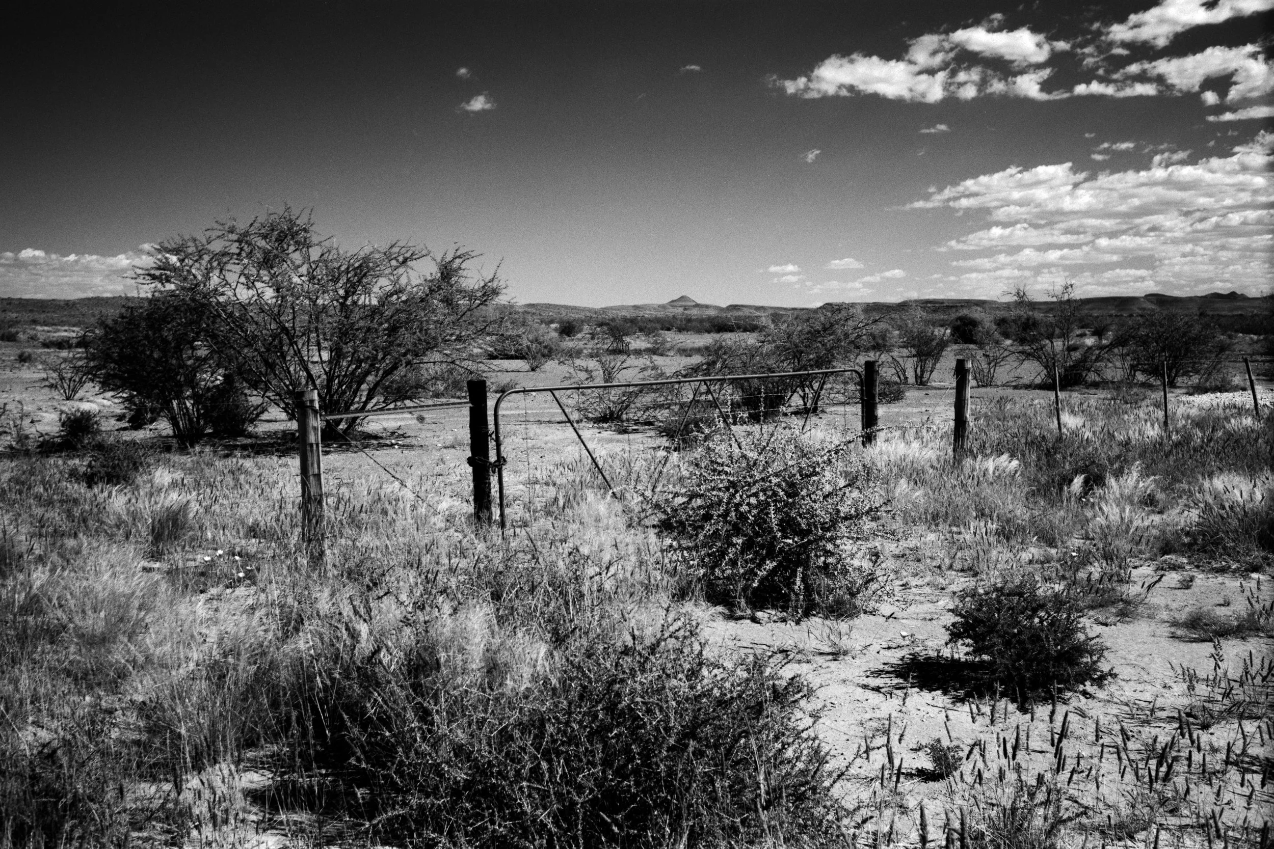 Namibia 2026 - Adox HR-50 - B+W 041 Rotorange filter - Voigtländer Nokton 35mm f/1.4 S.C - Leica M6.