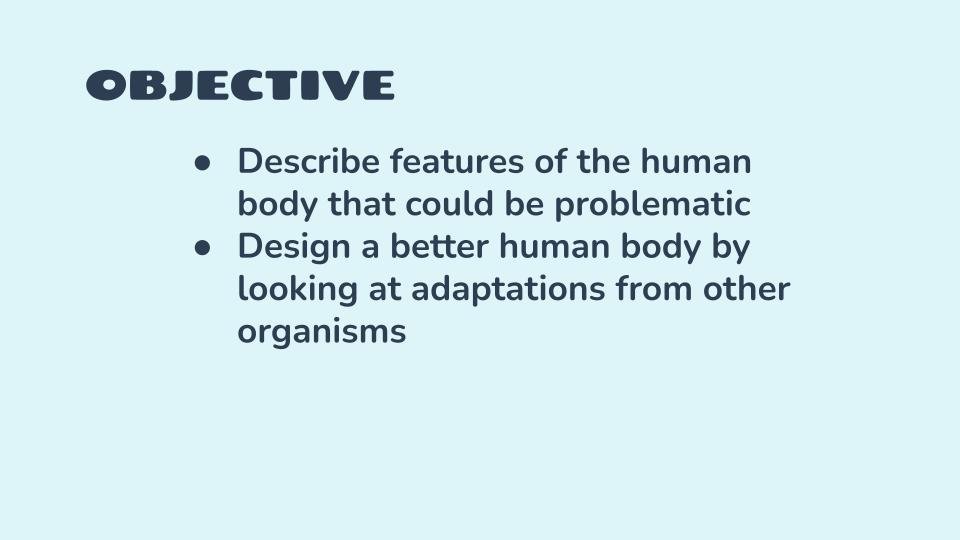 The Perfect Human Lesson Plan