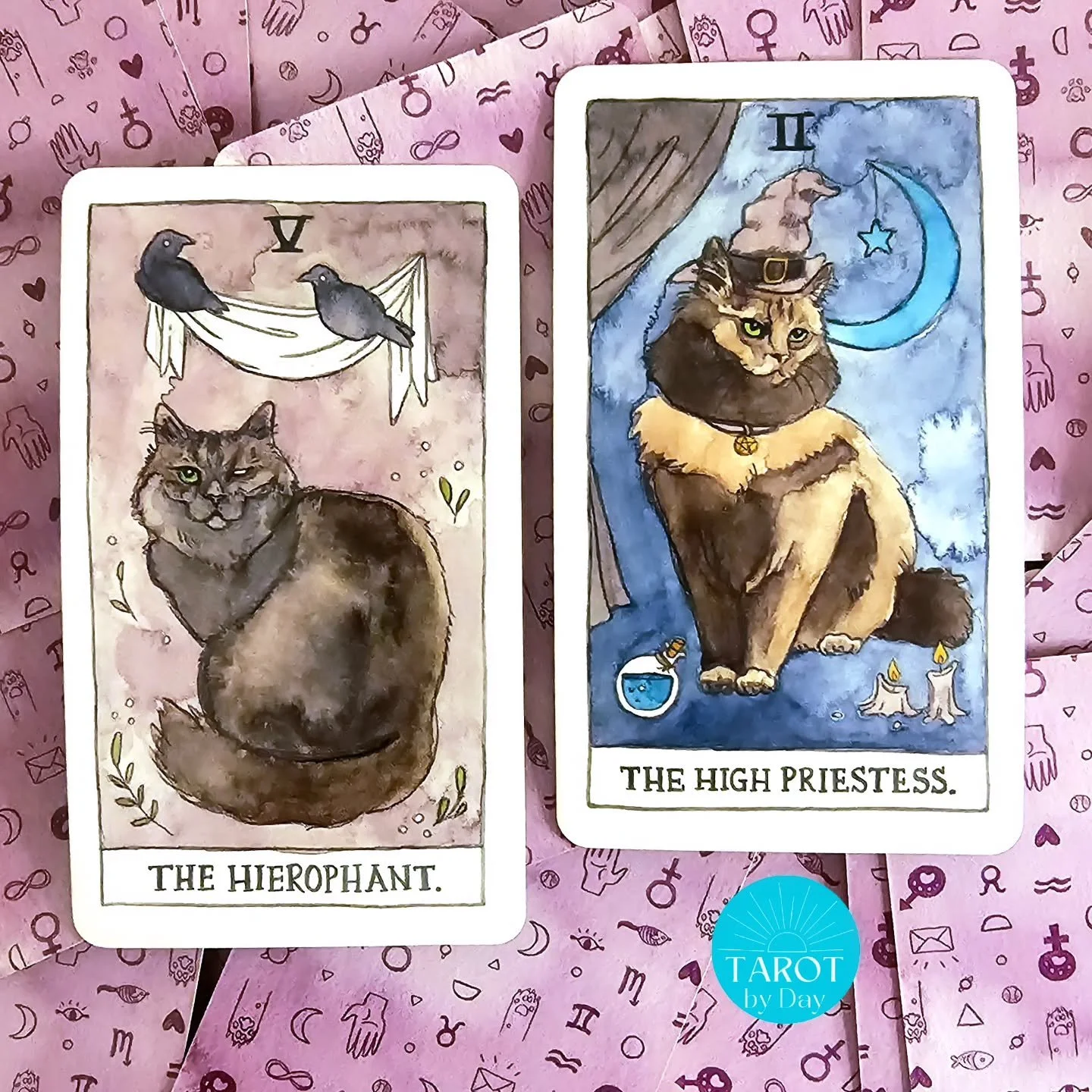 Today brings us the Hierophant &amp; High Priestess!🙏🔮🧘&zwj;♀️ This divine couple tells of alignment coming in 2026. Deep inner alignment of our masculine &amp; feminine energies leads to more outer aligned relationships. The biggest communication