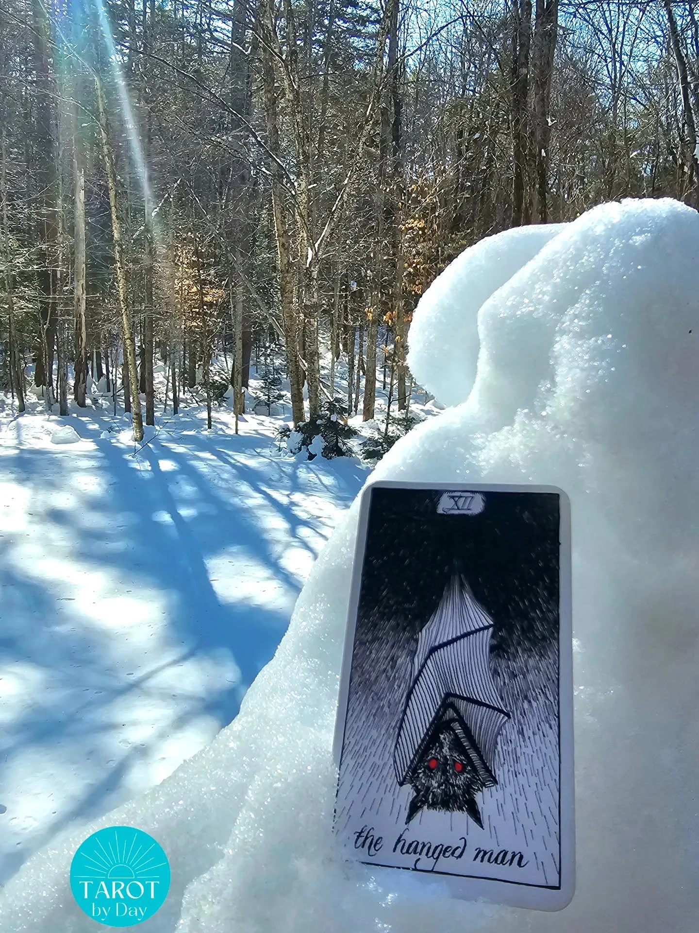 Today brings us the Hanged Man!✋️⏳️❄️ The full Snow Moon brought a hard freeze. A pause to shift perspective before the rush of fire horse energy arrives. Massive new cycles in the world &amp; our lives are ending. We can approach these changes with 