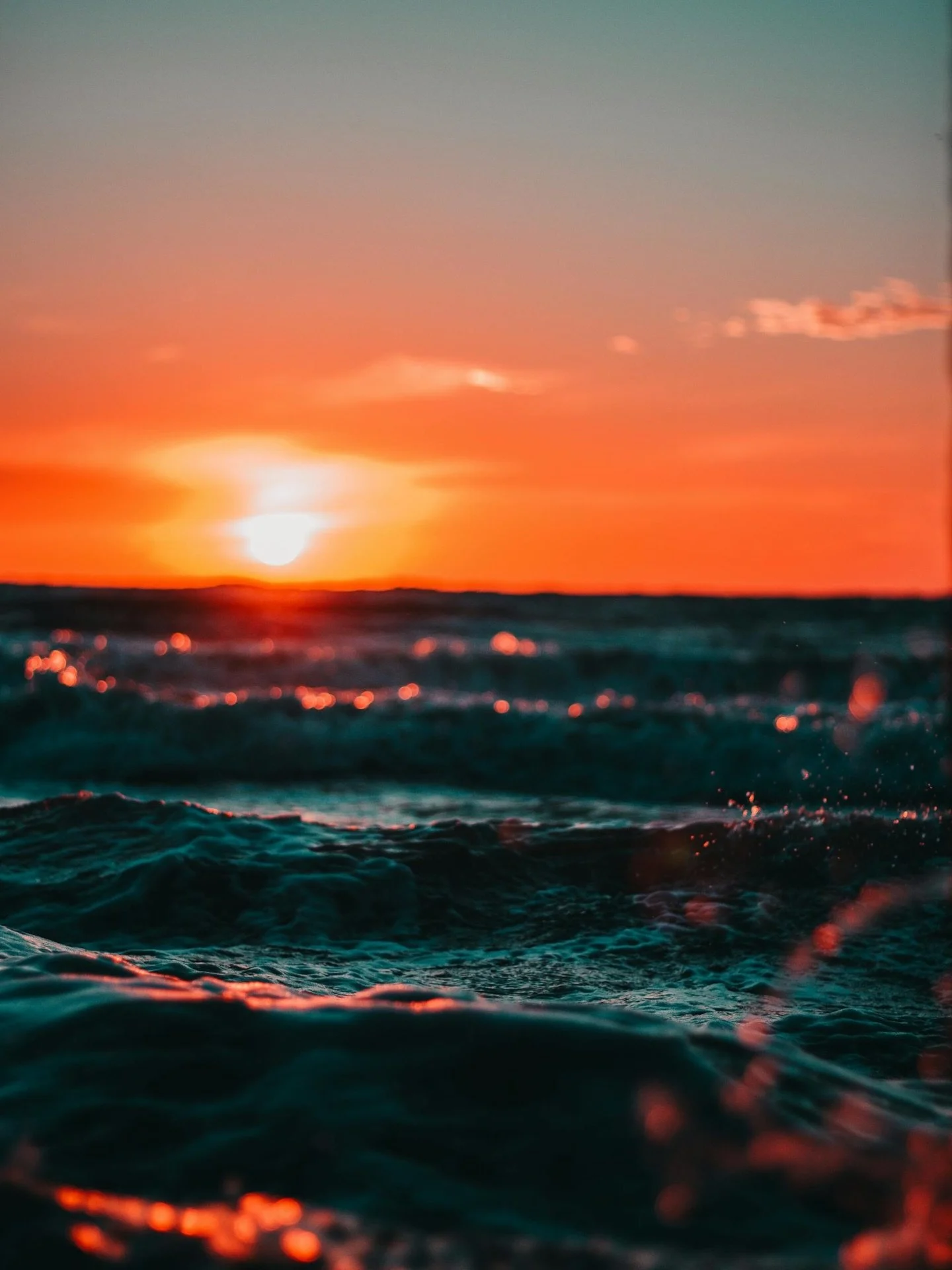 🌿 Apr&egrave;s l&rsquo;effervescence&hellip; le retour &agrave; l&rsquo;&eacute;quilibre

Le carnaval s&rsquo;&eacute;loigne doucement.
Les lumi&egrave;res s&rsquo;&eacute;teignent, 
la musique ralentit, les nuits retrouvent leur silence.