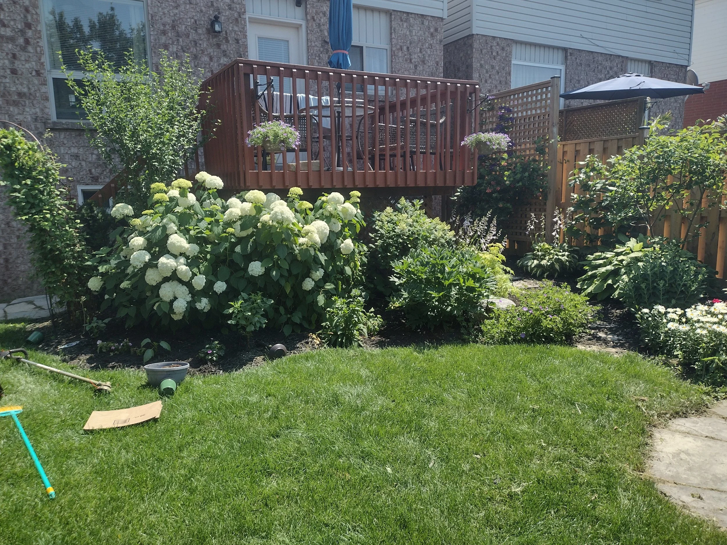 IMG_20240706_121104807_HDR.jpg