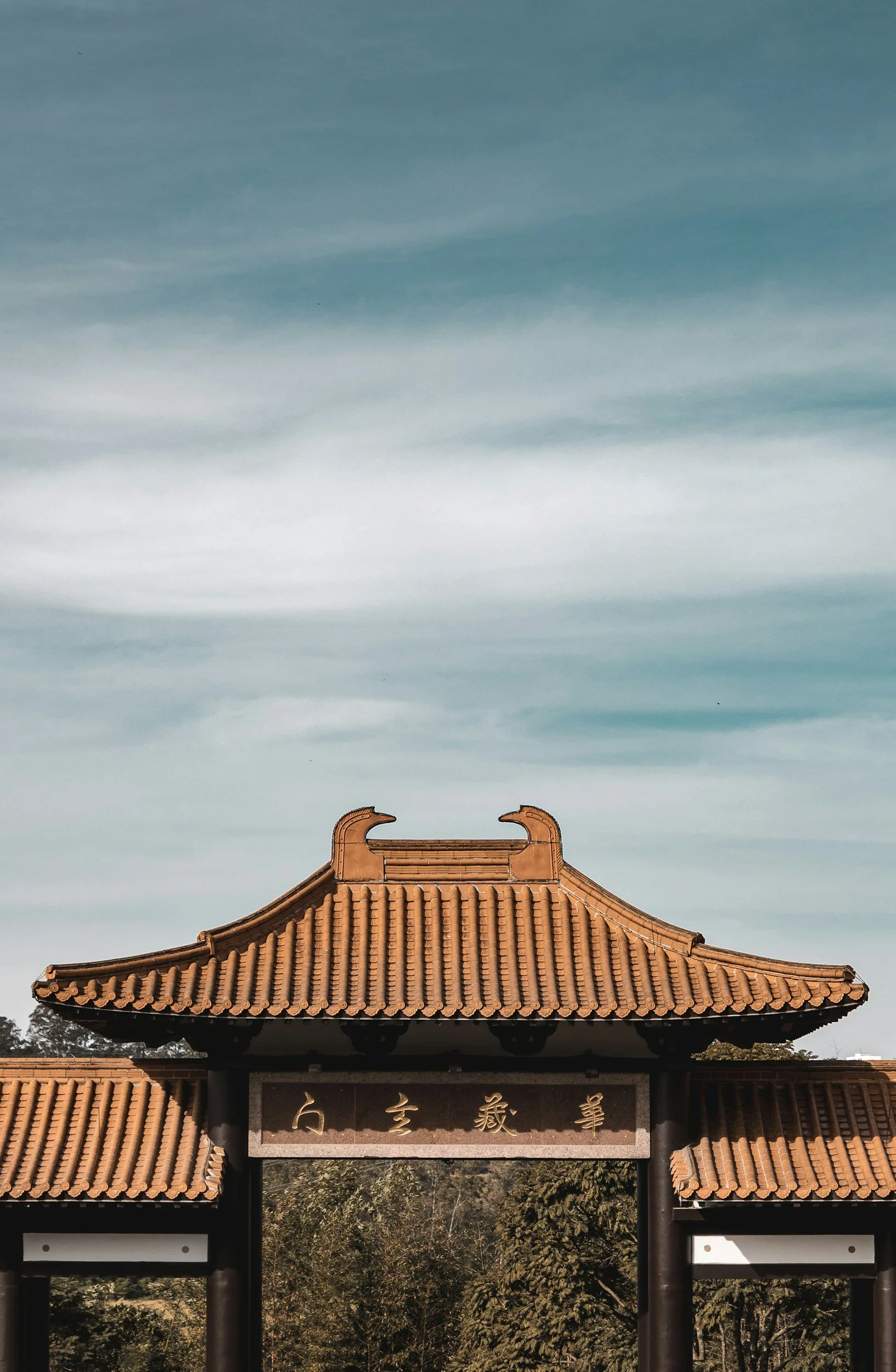 unsplash-image-URaAo0XwGnA.jpg