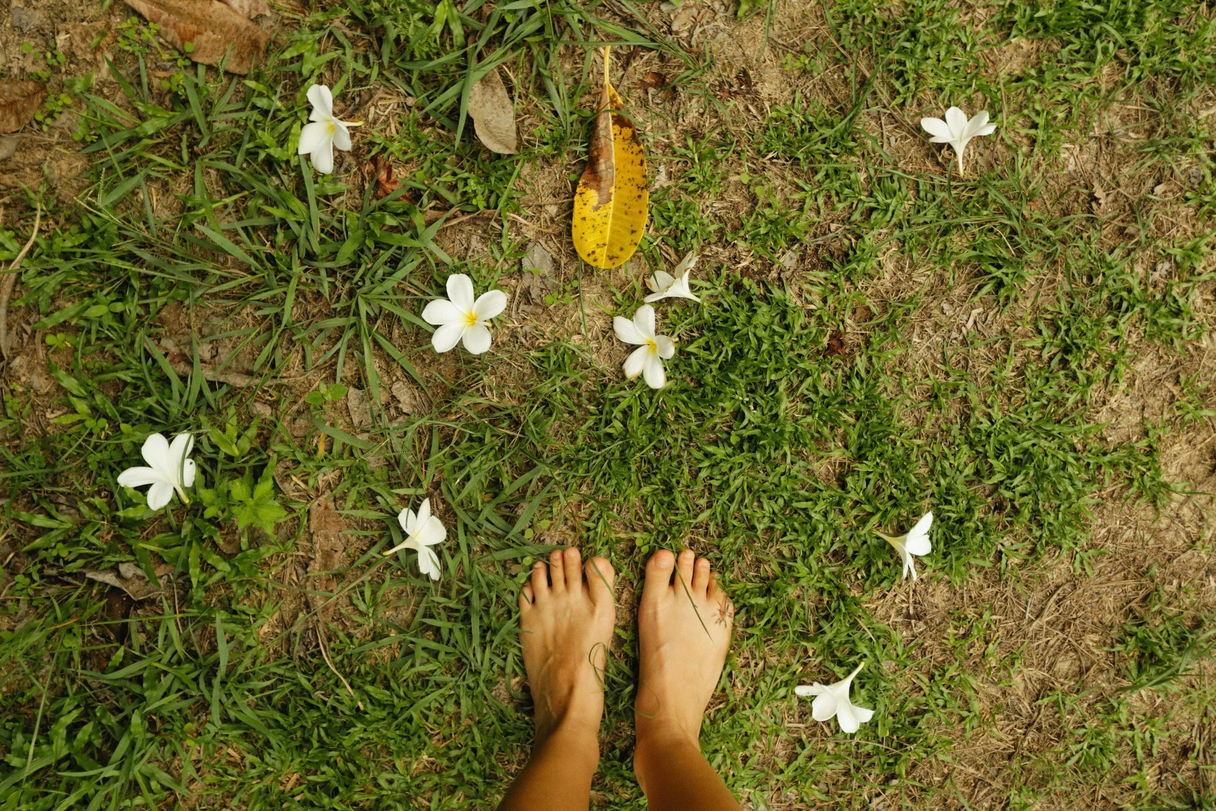 somatic exercises for panic attacks